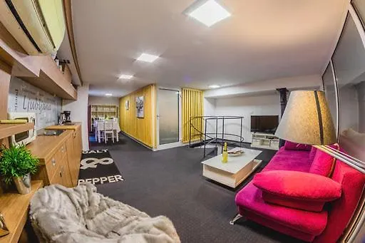 Trzaska Duplex Urban Apartment Ljubljana